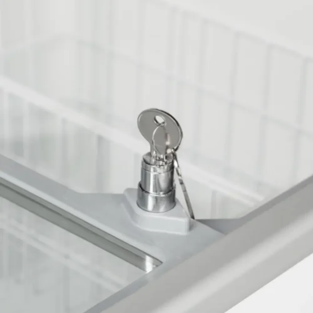 Tefcold Display Fryseboks IC401SC