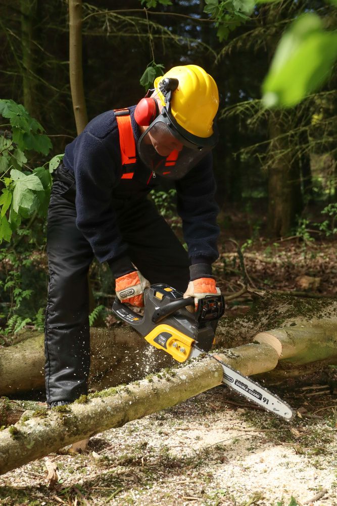 Texas motorsag batteri 58V CSZ5800 u/bat og lader 90070047